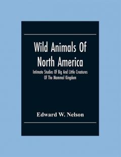 Wild Animals Of North America Intimate Studies Of Big And Little Creatures Of The Mammal Kingdom