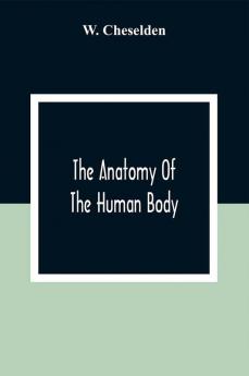 The Anatomy Of The Human Body