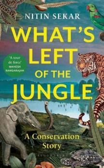 What's Left of the Jungle