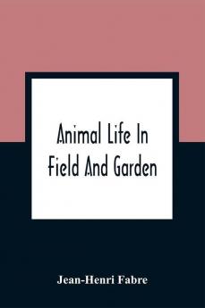 Animal Life In Field And Garden