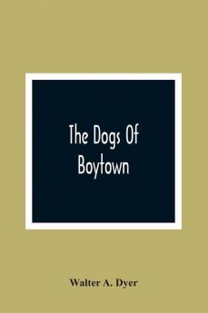 The Dogs Of Boytown