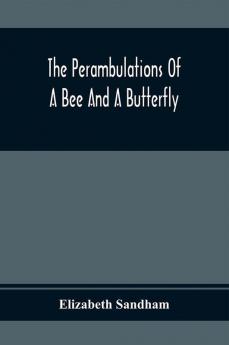 The Perambulations Of A Bee And A Butterfly