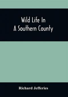 Wild Life In A Southern County