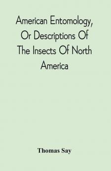 American Entomology Or Descriptions Of The Insects Of North America : Illustrated By Coloured Figures From Original Drawings Executed From Nature