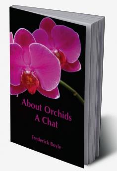 About Orchids: A Chat