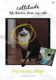 Cattitude