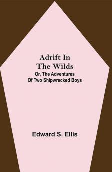 Adrift in the Wilds; Or The Adventures of Two Shipwrecked Boys