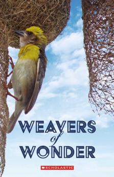 Weavers of Wonder