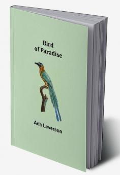 Bird of Paradise