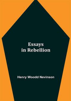 Essays in Rebellion