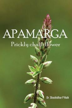 APAMARGA Prickly chaff-flower