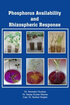 Phosphorus Availability and Rhizospheric Response