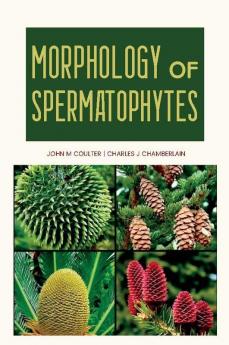 Morphology of Spermatophytes