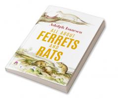 All About Ferrets and Rats