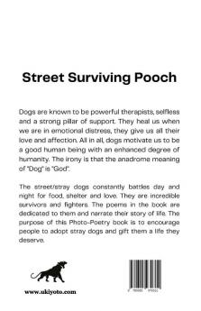 Street Surviving Pooch