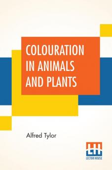 Colouration In Animals And Plants