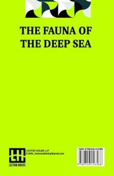 The Fauna Of The Deep Sea