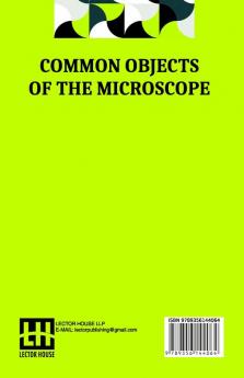 Common Objects Of The Microscope