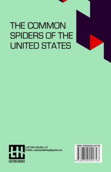 The Common Spiders Of The United States