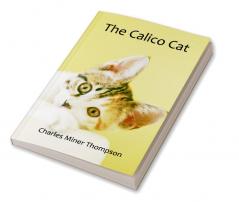 The Calico Cat