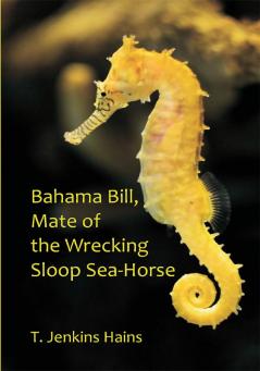 Bahama Bill Mate of the Wrecking Sloop Sea-Horse