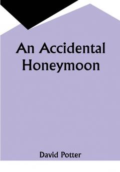 An Accidental Honeymoon