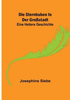 Die Sternbuben in der Großstadt: Eine heitere Geschichte