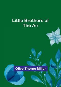 Little Brothers of the Air