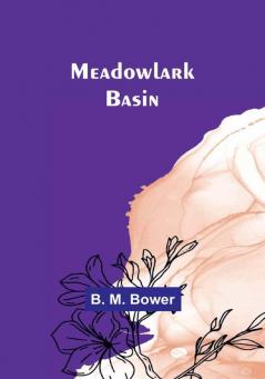 Meadowlark Basin