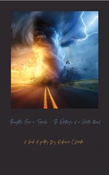 Thoughts From a Tornado - The Writings of a Chaotic Mind