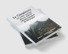 Le Güegüence 

Un ballet comique dans le dialecte nahuatl-espagnol du Nicaragua