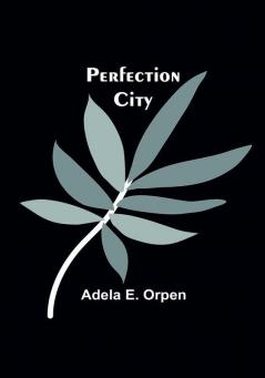 Perfection City