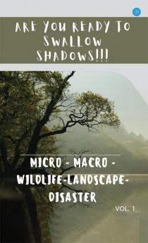 Are You Ready to Swallow Shadows