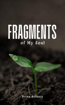 Fragments of My Soul