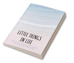 Little Things in Life