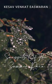 Snippets Of The Summer Rain