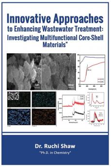 Innovative Approaches to Enhancing Wastewater Treatment: Investigating Multifunctional Core-Shell Materials