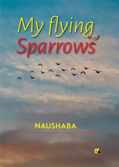 My Flying sparrows