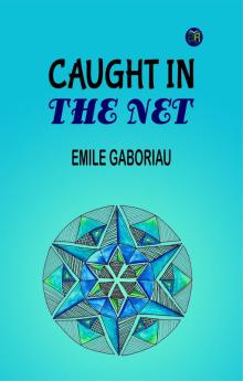 Caught in the Net