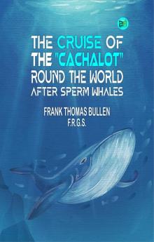 The Cruise of the Cachalot Round the World After Sperm Whales