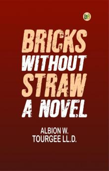 Bricks Without Straw: A Novel