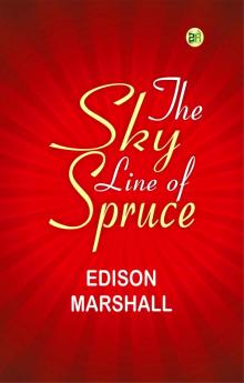 The Sky Line of Spruce