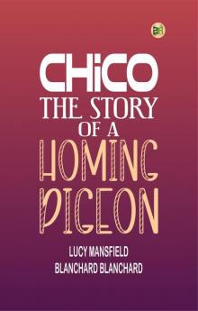 Chico: the Story of a Homing Pigeon