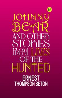 Johnny Bear and Other Stories from Lives of the Hunted
