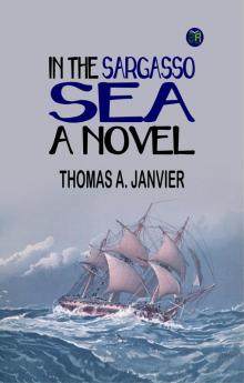 In the Sargasso Sea A Novel