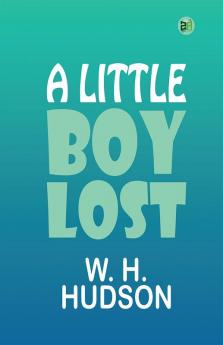 A Little Boy Lost