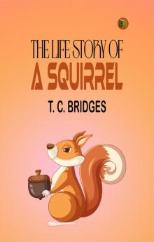 THE LIFE STORY OF  A SQUIRREL