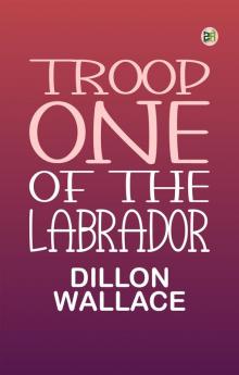 Troop One of the Labrador