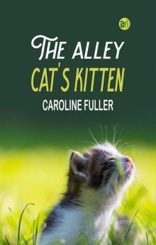 The alley cat's kitten