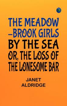 The Meadow-Brook Girls by the Sea; Or The Loss of The Lonesome Bar